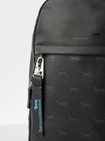 Повсякденний рюкзак Harmont&Blaine модель H1EPMH760045999 Фото