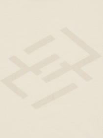 Футболка Lotto модель 220727_086 Фото