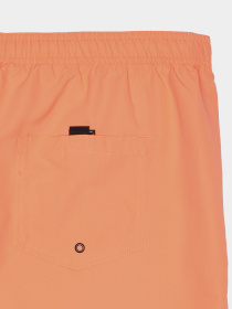 Шорты для плавания Lotto модель 213503_16M Фото