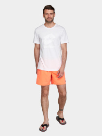 Шорты для плавания Lotto модель 213503_16M Фото