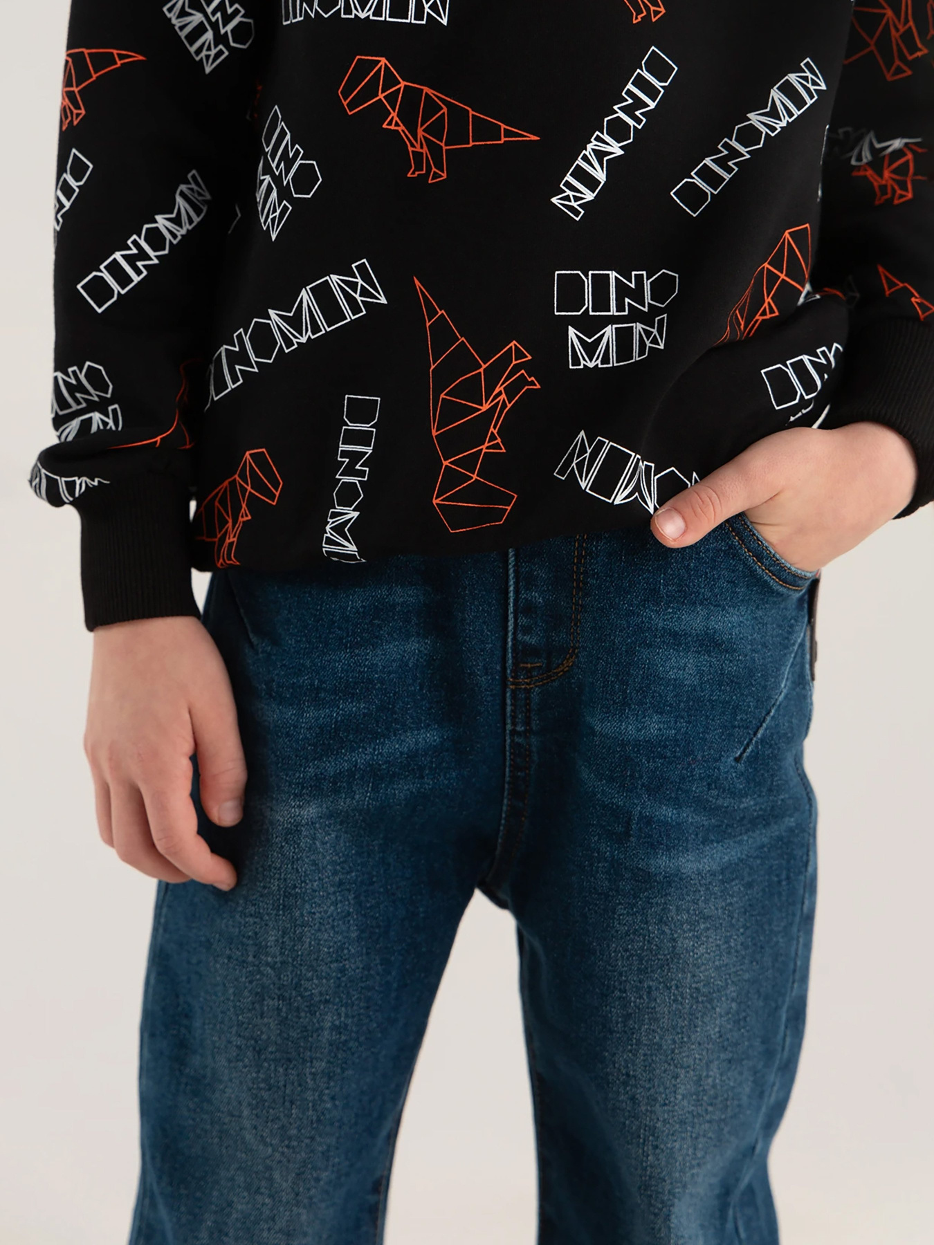 Свитшот Dinomin модель 2000990337023 Фото