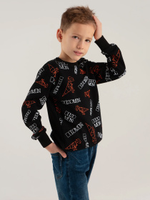 Свитшот Dinomin модель 2000990337023 Фото