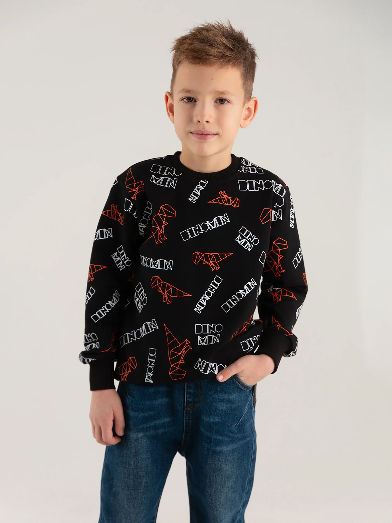 Свитшот Dinomin модель 2000990337023 Фото