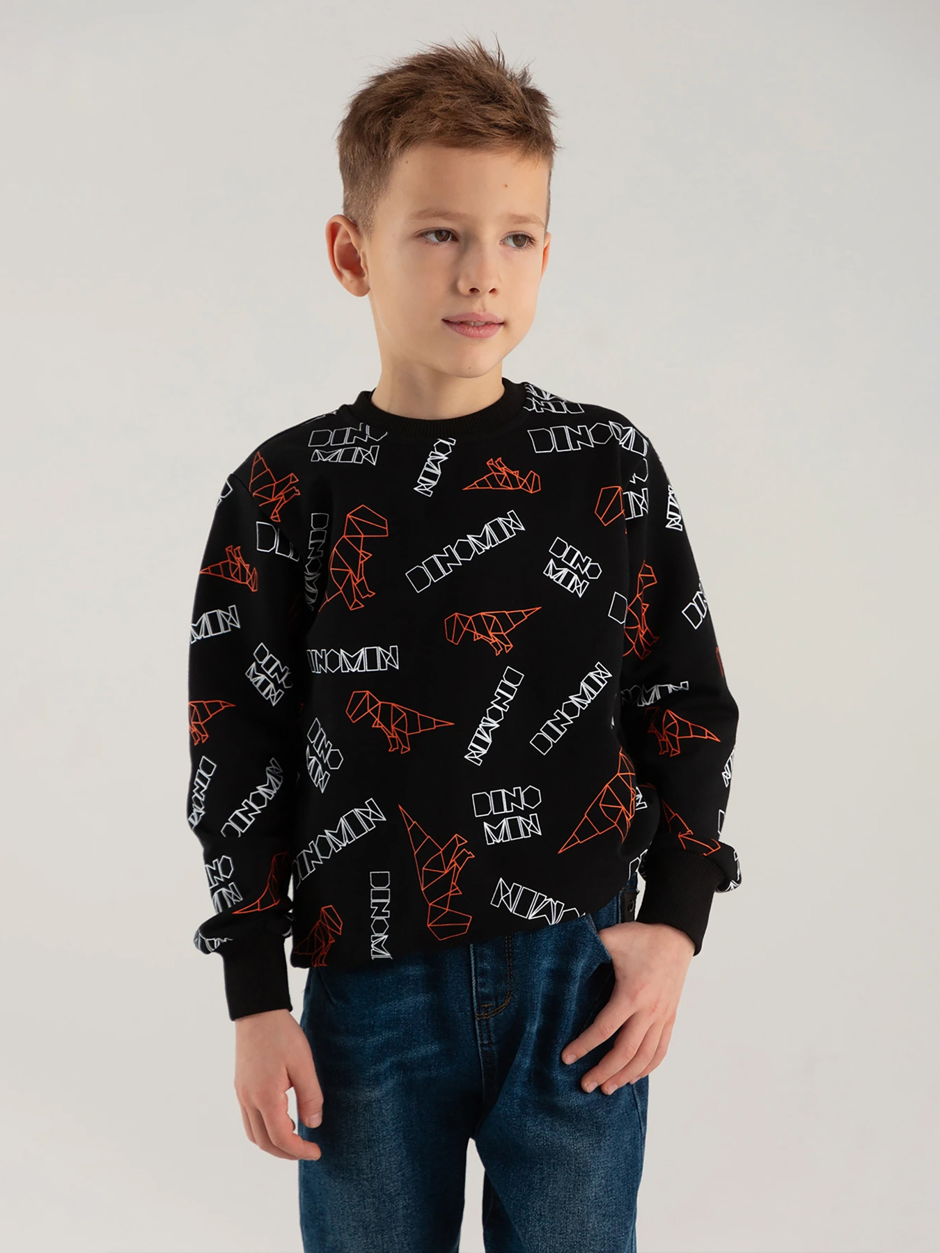 Свитшот Dinomin модель 2000990337023 Фото