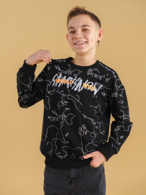 Свитшот Dinomin модель 2000990336965 Фото