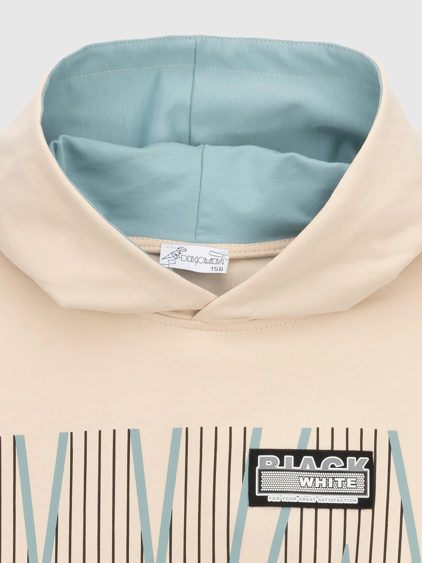 Худи Dinomin модель 2000990398635 Фото