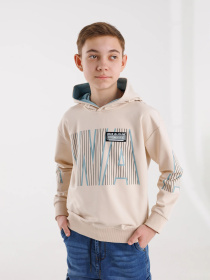 Худи Dinomin модель 2000990398635 Фото