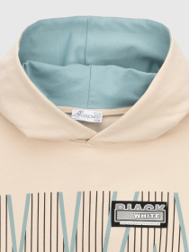 Худи Dinomin модель 2000990398635 Фото