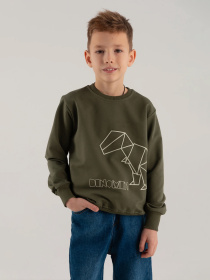 Свитшот Dinomin модель 2000990337078 Фото