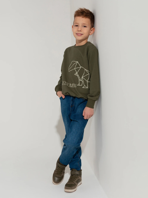 Свитшот Dinomin модель 2000990337078 Фото