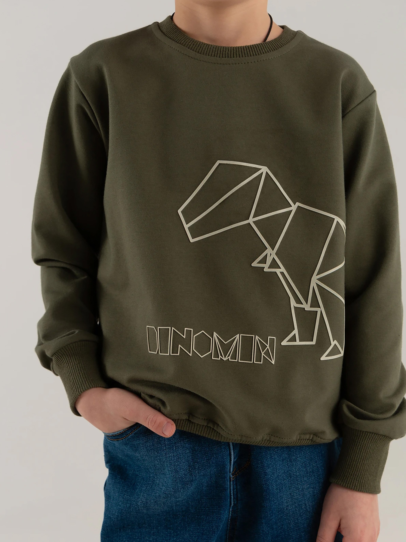 Світшот Dinomin модель 2000990337078 Фото