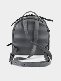 Повсякденний рюкзак HARVEST Small модель 040053000410880000 Повсякденний рюкзак HARVEST Small модель 040053000410880000 Фото