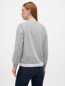 Свитшот US Polo модель USPA.16598.VR086 Фото