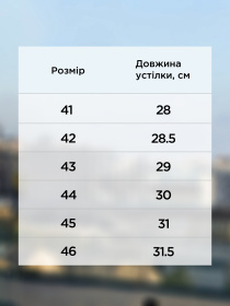 Лофери Arber модель M30.25.38.411 Лофери Arber модель M30.25.38.411 Фото