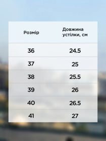 Балетки Arber модель W30.05.02.411 Балетки Arber модель W30.05.02.411 Фото