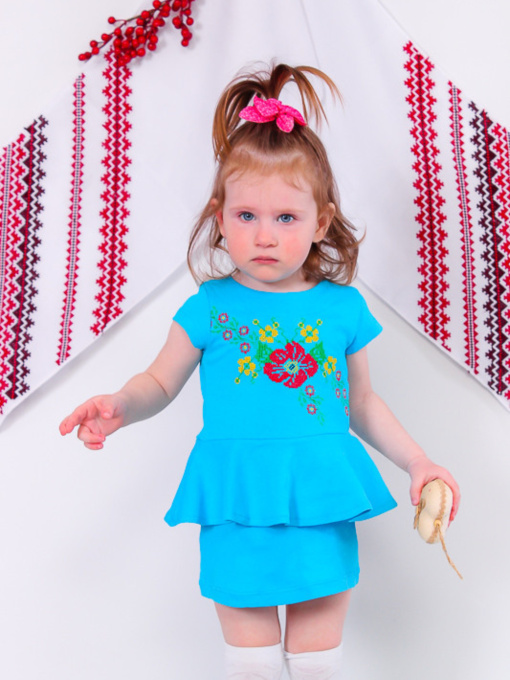 Вышитое платье Носи своє модель 9573-015-22-bryuzovij Фото