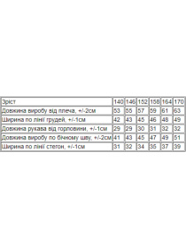 Повседневный костюм Носи своє модель 6420-135-taj-daj-zelenij-bezh Фото