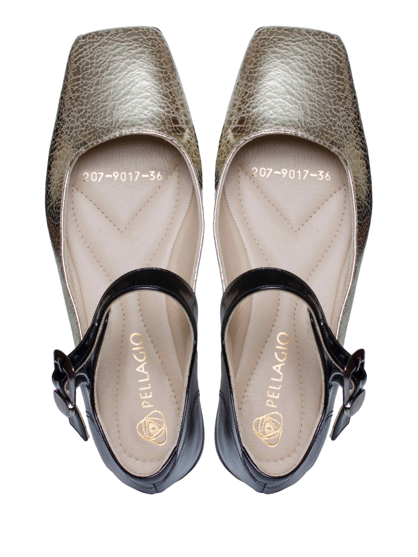 Балетки Pellagio модель 2079017 Фото