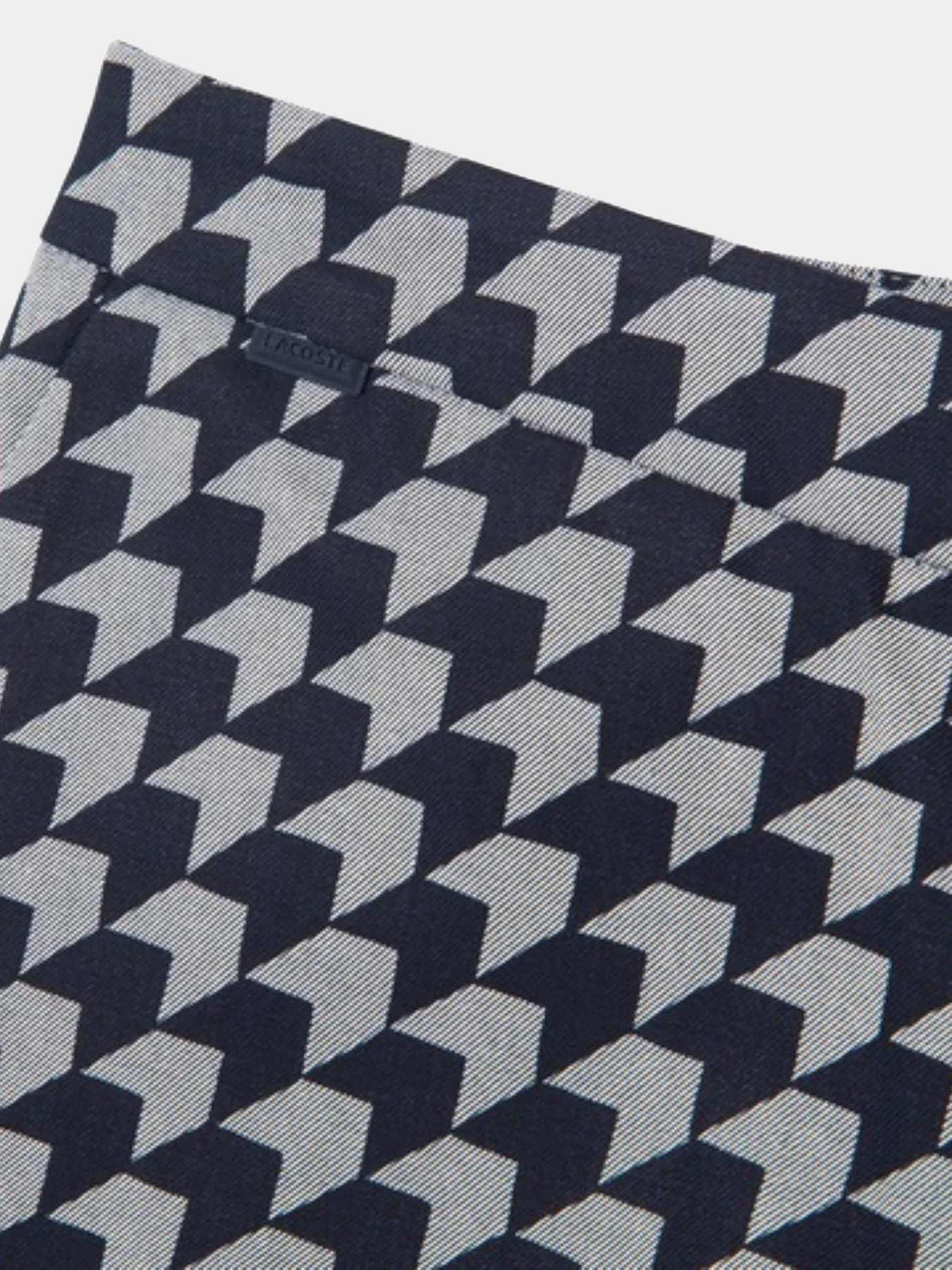 Повсякденні шорти Lacoste модель FF2463HXH Фото