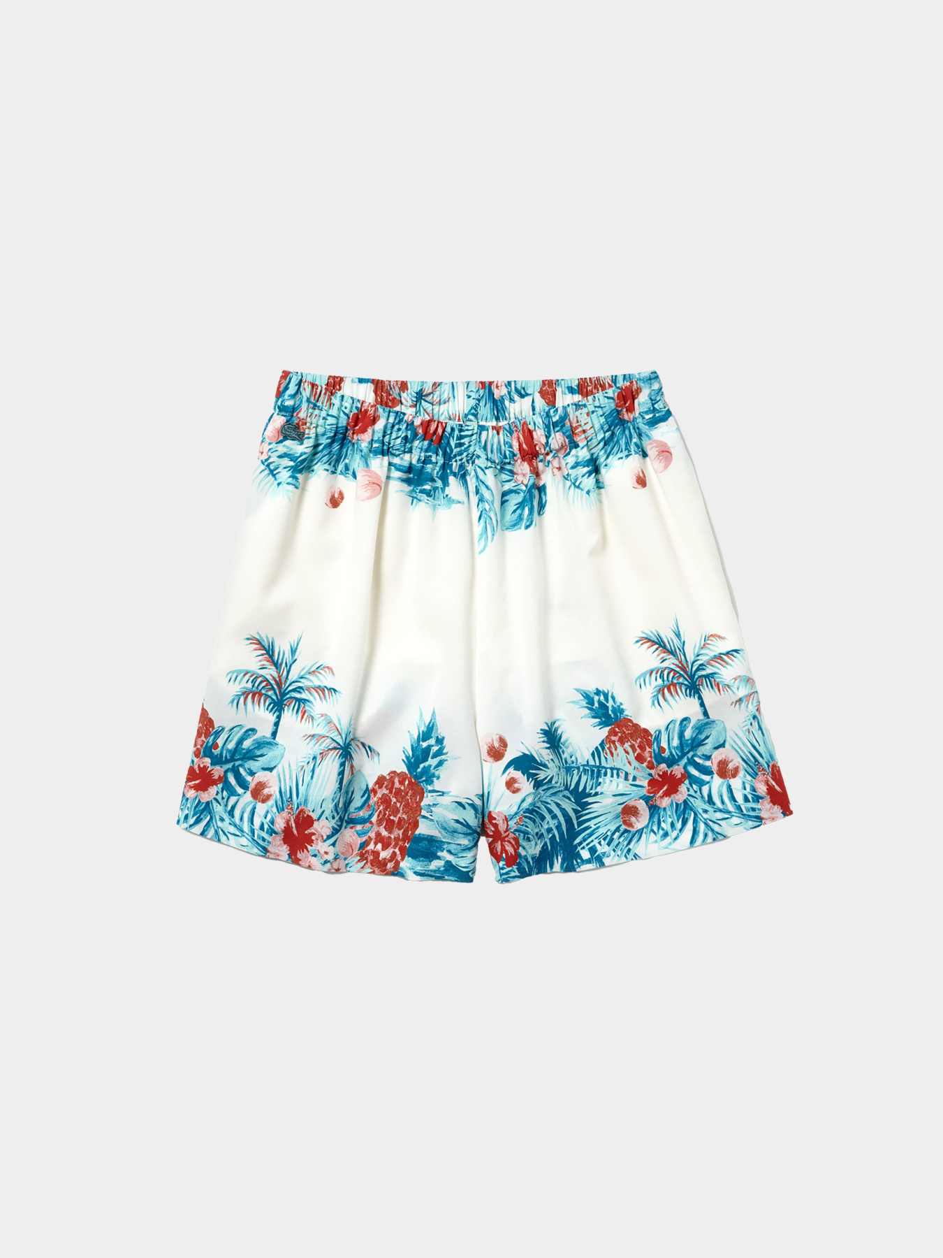 Повсякденні шорти Lacoste модель FF4214001 Повсякденні шорти Lacoste модель FF4214001 Фото