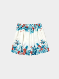 Повсякденні шорти Lacoste модель FF4214001 Повсякденні шорти Lacoste модель FF4214001 Фото