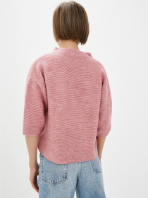 Джемпер Sewel модель JW386100000 Фото