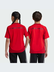 Футболка спортивная Adidas модель IT2249 Фото