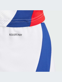 Шорты спортивные Adidas модель IT6139 Фото