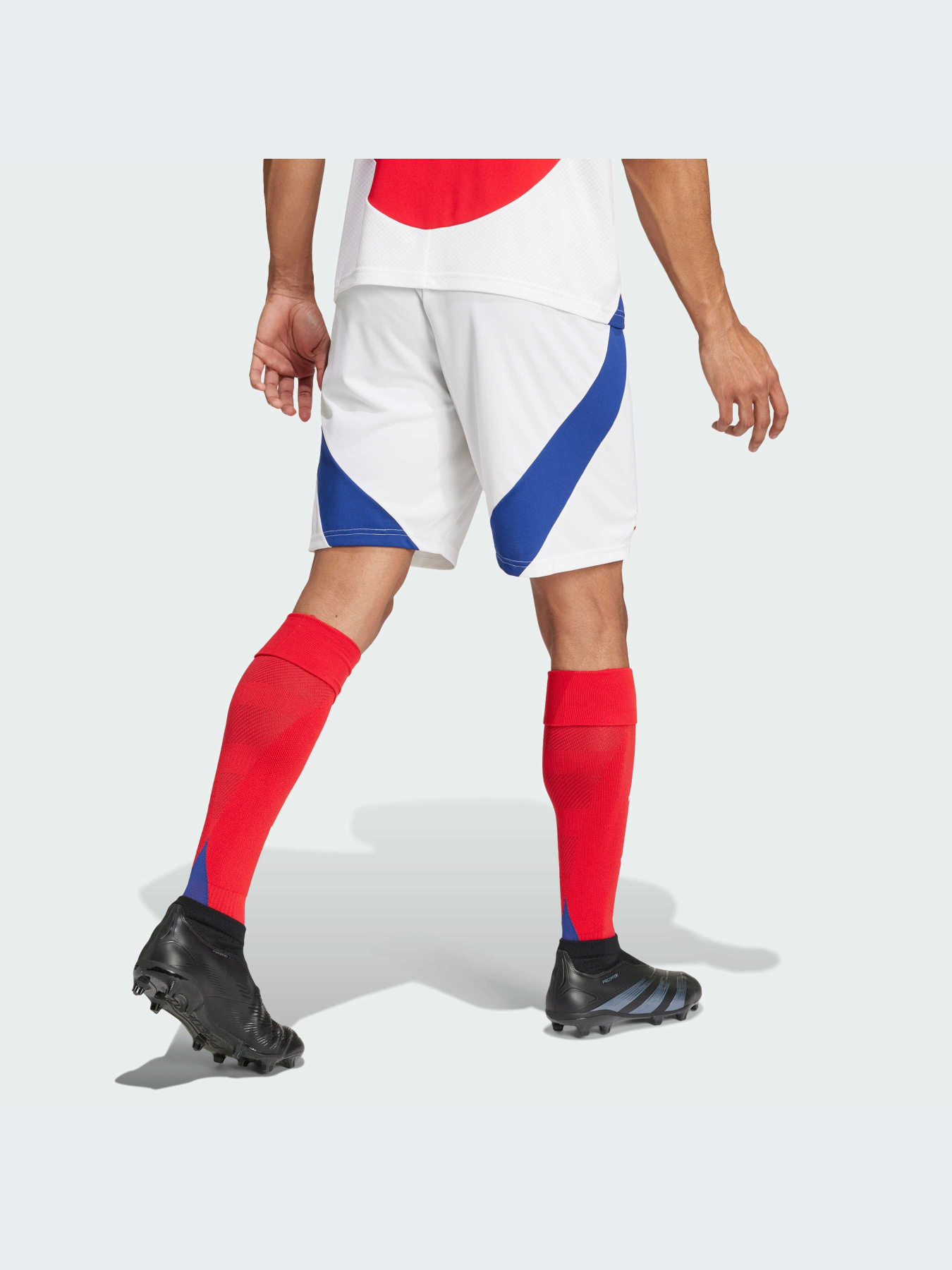 Спортивні шорти Adidas модель IT6139 Фото