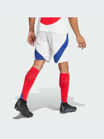 Спортивні шорти Adidas модель IT6139 Фото