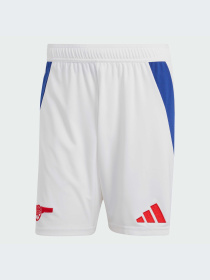 Спортивні шорти Adidas модель IT6139 Фото