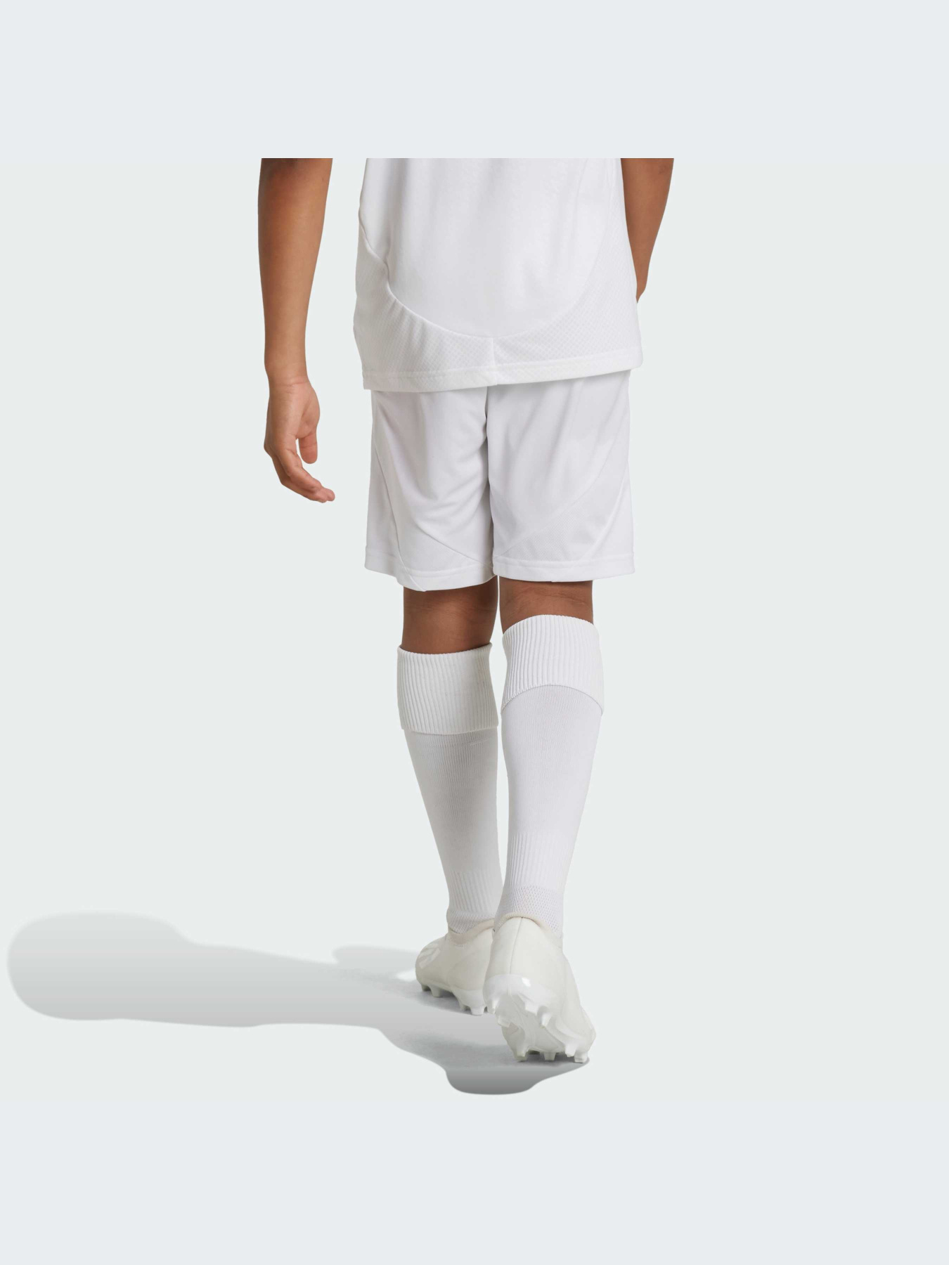 Спортивні шорти Adidas модель IT5176 Фото