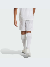 Спортивні шорти Adidas модель IT5176 Фото