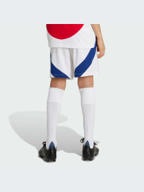 Шорты спортивные Adidas модель IS8136 Фото