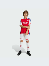 Шорты спортивные Adidas модель IS8136 Фото