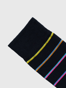 Носки Arber модель M11.06.02.411 Фото