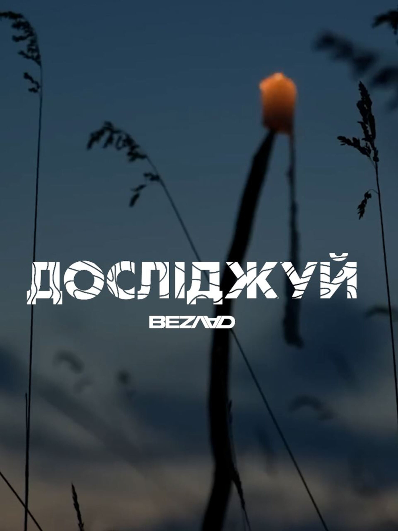 Футболка Bezlad Наддніпрянщина модель futbolka-doslidzhuy-naddnipryanschina-chorna Фото