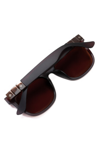 Очки ISSA Plus модель GO1-92_коричневый Фото