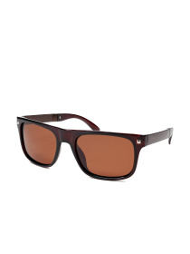 Очки ISSA Plus модель GO1-99_коричневый Фото