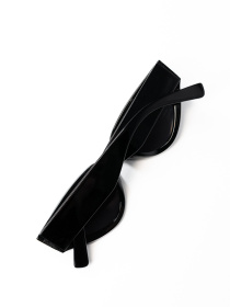 Окуляри ISSA Plus модель O1-103_черный Фото