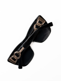 Очки ISSA Plus модель O1-108_черный Фото