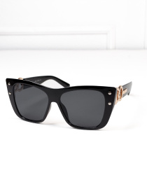 Очки ISSA Plus модель O1-108_черный Фото