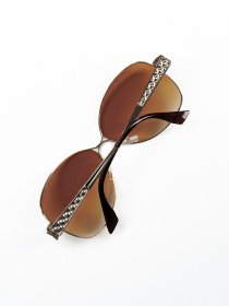 Очки ISSA Plus модель O1-126_коричневый Фото