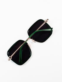 Очки ISSA Plus модель O1-133_черный_зеленый Фото