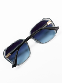 Очки ISSA Plus модель O1-134_темно_серый Фото