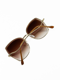 Очки ISSA Plus модель O1-135_коричневый Фото