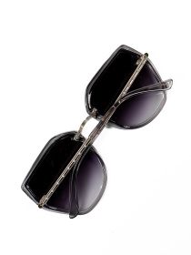 Очки ISSA Plus модель O1-138_темно_серый Фото