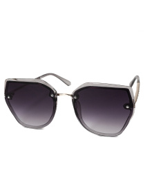 Очки ISSA Plus модель O1-138_темно_серый Фото