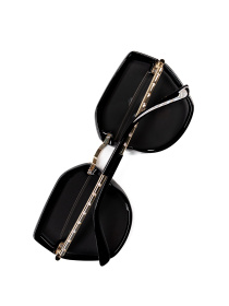 Окуляри ISSA Plus модель O1-138_черный Фото