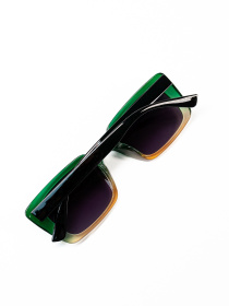 Окуляри ISSA Plus модель O1-139_зеленый Фото